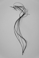 Gyrus (Lili Dujourie)