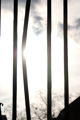 Starke Sonne
