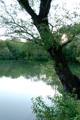 Filmteich 2
